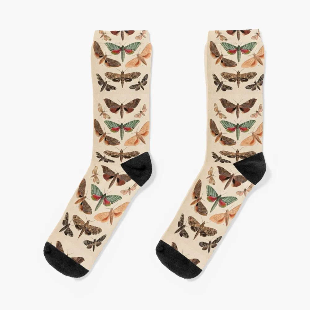

Naturalist Moths Socks tennis valentine gift ideas Socks with print Boy Socks Women's