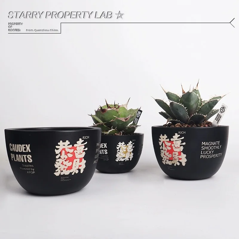 

NBHD trendy root plant agave turtle shell dragon root SRL flowerpot ceramic