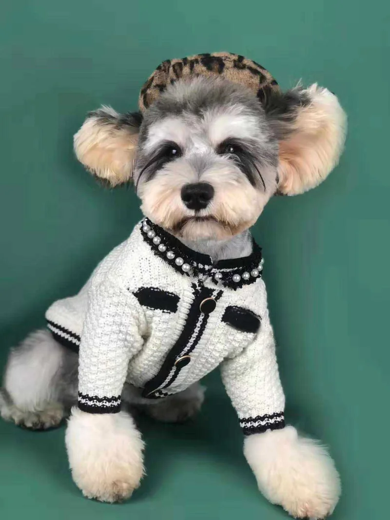 Dog Clothes Spring Clothing Small Scented Jumper Cardigan Chenille Pomeranian Teddy Corgi Pug Cat Pet Clothes Puppy Clothes
Dog Clothes Spring Clothing Small Scented Jumper Cardigan Chenille Pomeranian Teddy Corgi Pug Cat Pet Clothes Puppy Clothes