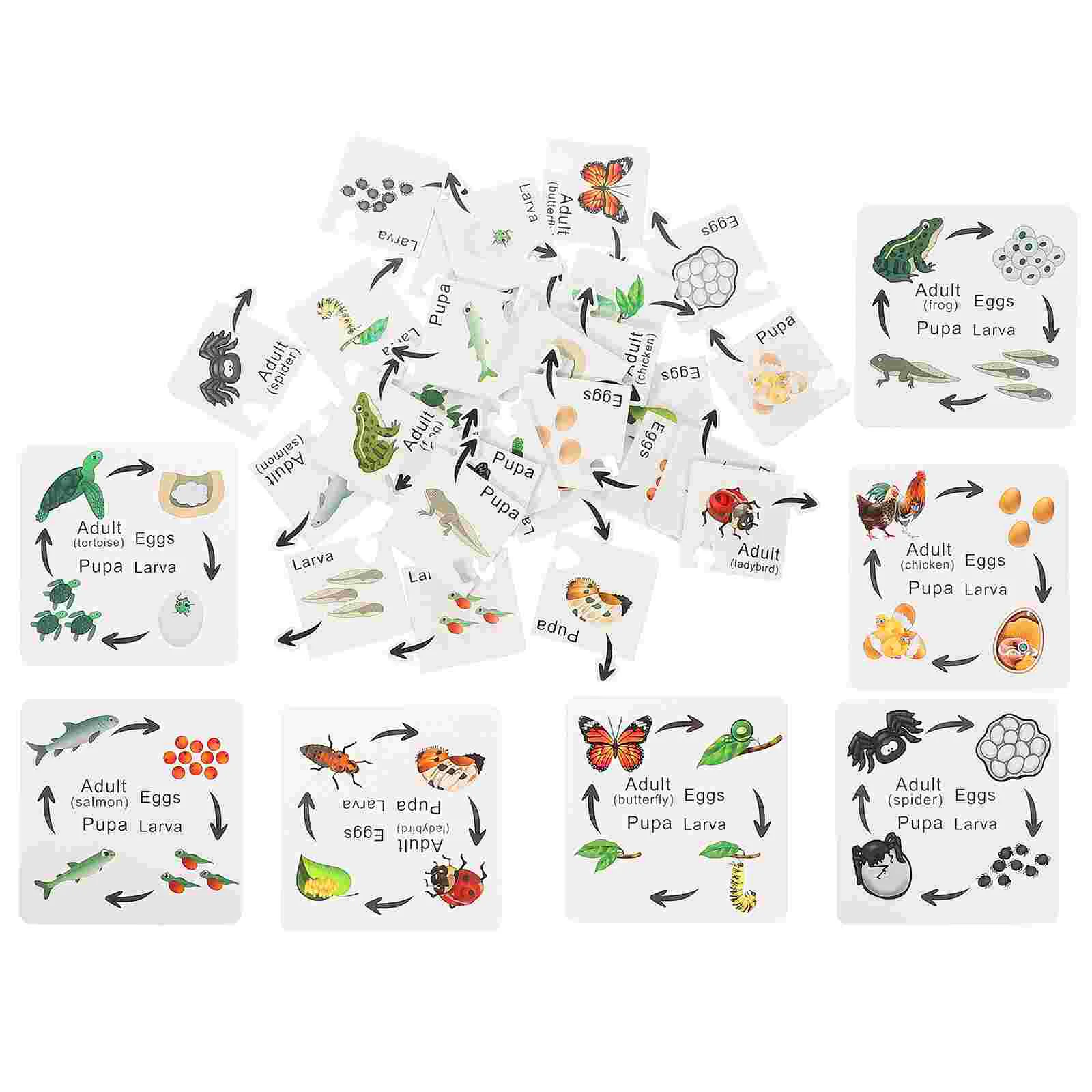 7 комплектов дошкольных игрушек Обучающие пазлы для малышей Маленькие Пазлы для детей животные жизненный цикл деревянные карты детские животные
7 комплектов дошкольных игрушек Обучающие пазлы для малышей Маленькие Пазлы для детей животные жизненный цикл деревянные карты детские животные