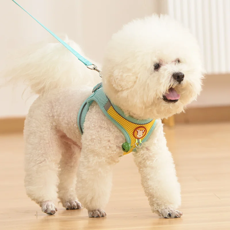 Dog Leash Vest Type Small Dog Leash Teddy Bichon Transpneumothorax Harness Pomeranian Puppy Leash
Dog Leash Vest Type Small Dog Leash Teddy Bichon Transpneumothorax Harness Pomeranian Puppy Leash
