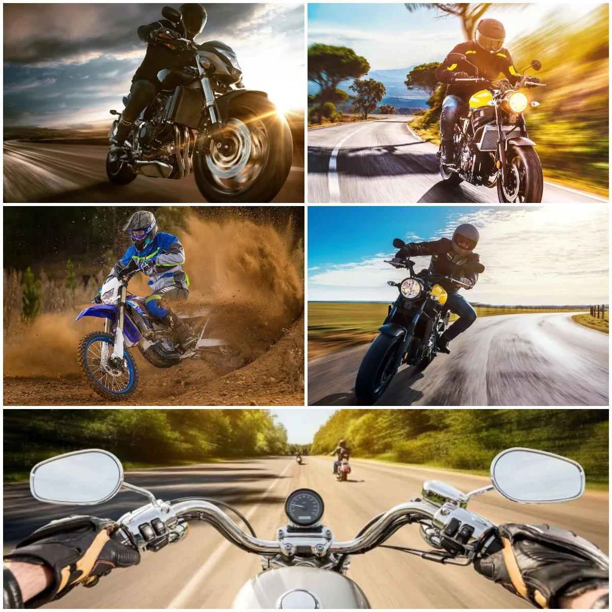 Fan Gift Driver's Perspective 5D DIY Diamond Painting Challenge Sports Motorcycle Rider Handicraft Mosaic Embroidery for Sale 
Fan Gift Driver's Perspective 5D DIY Diamond Painting Challenge Sports Motorcycle Rider Handicraft Mosaic Embroidery for Sale