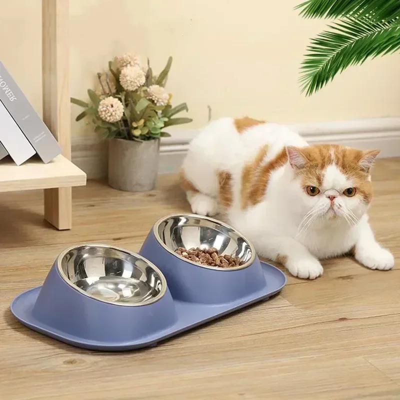 

Stainless Dog Feeder Feeding Bowl Steel Dish Cat Double Home Raised Cats Pet Pets Accessories Bowls Appliance Stand For