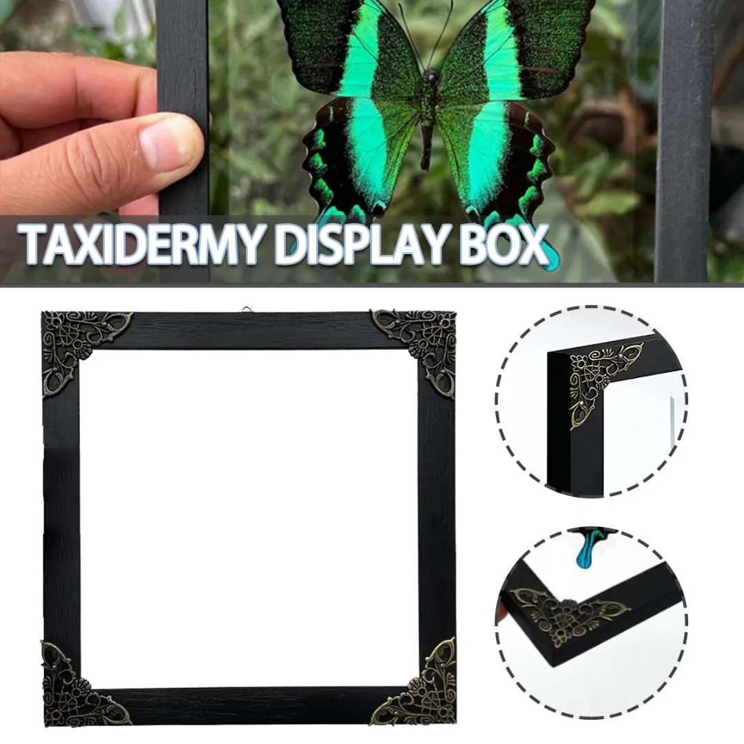 Acrylic Shadow Box Insect Display Case Collection Shadow Box For Collecting Butterfly Specimen Wall Art Hanging Decoration 
Acrylic Shadow Box Insect Display Case Collection Shadow Box For Collecting Butterfly Specimen Wall Art Hanging Decoration