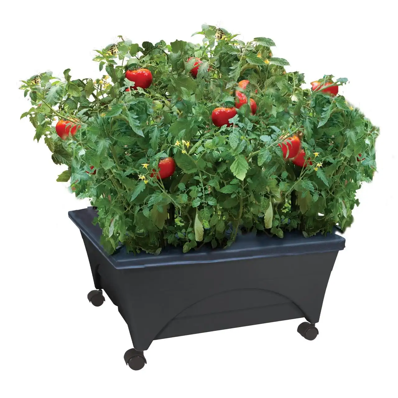 City Picker Raised Bed Grow Box – Self Watering and Improved Aeration – Mobile Unit with Casters
City Picker Raised Bed Grow Box – Self Watering and Improved Aeration – Mobile Unit with Casters