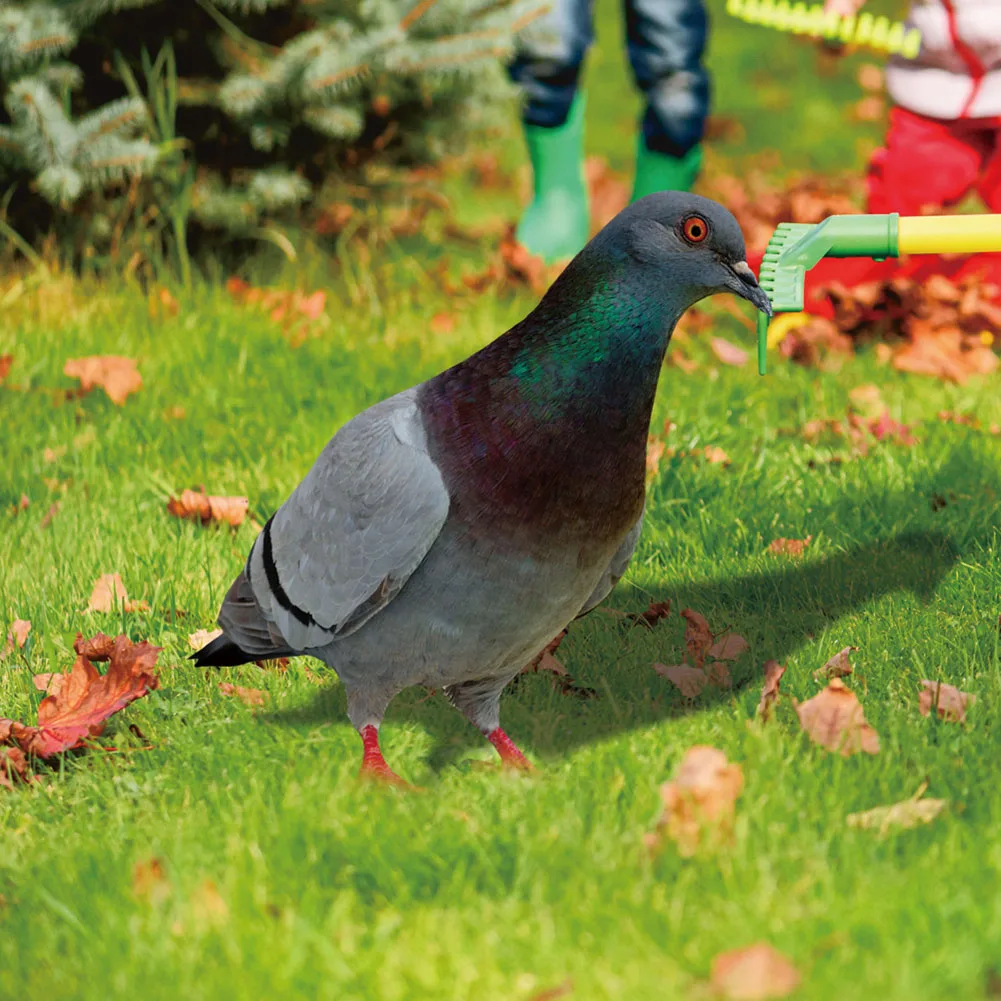 1/2Pcs Pigeon Card 2D Acrylic Garden Pigeon Statue Wild Pigeon Sculpture Yard Decor Farm Card Weatherproof Design
1/2Pcs Pigeon Card 2D Acrylic Garden Pigeon Statue Wild Pigeon Sculpture Yard Decor Farm Card Weatherproof Design