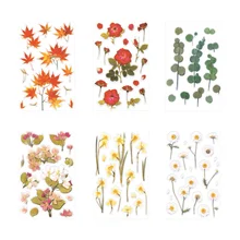 5 Sheets of Multi-function Scrapbook Stickers Decorative Journal Stickers (Random Color)
5 Sheets of Multi-function Scrapbook Stickers Decorative Journal Stickers (Random Color)