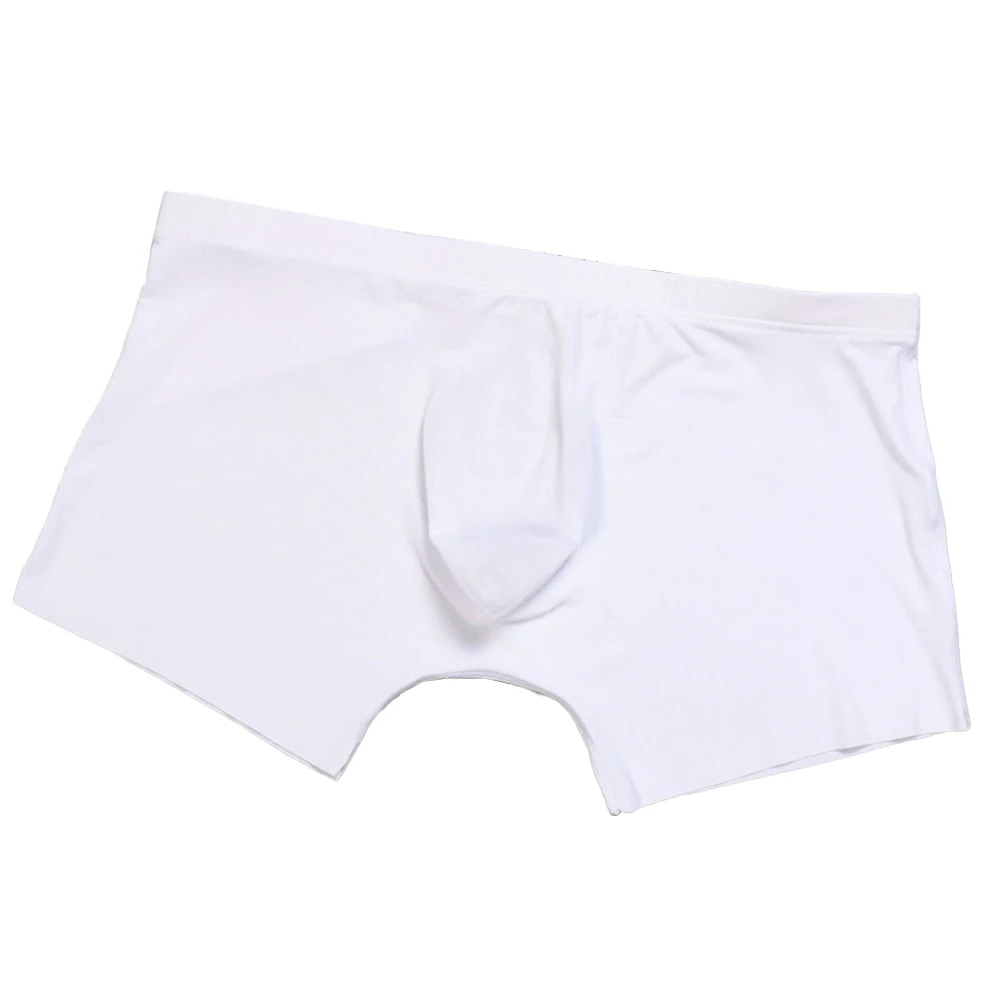 Comfortable Mens Underwear Mens Underpants Ice Silk Lingerie Low Waist Panties Regular Sexy Soft Pouch All Seasons
Comfortable Mens Underwear Mens Underpants Ice Silk Lingerie Low Waist Panties Regular Sexy Soft Pouch All Seasons