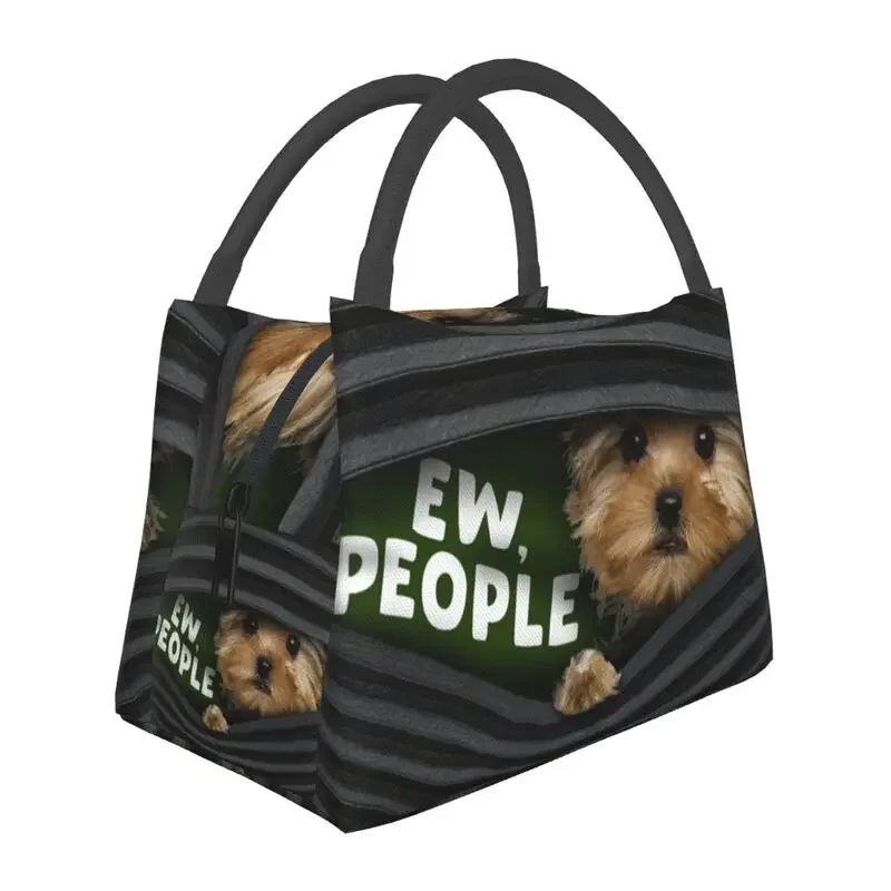 Funny Dachshund Dog Lunch Box Women Multifunction Cooler Thermal Food Insulated Lunch Bag Hospital Office Pinic Container 
Funny Dachshund Dog Lunch Box Women Multifunction Cooler Thermal Food Insulated Lunch Bag Hospital Office Pinic Container