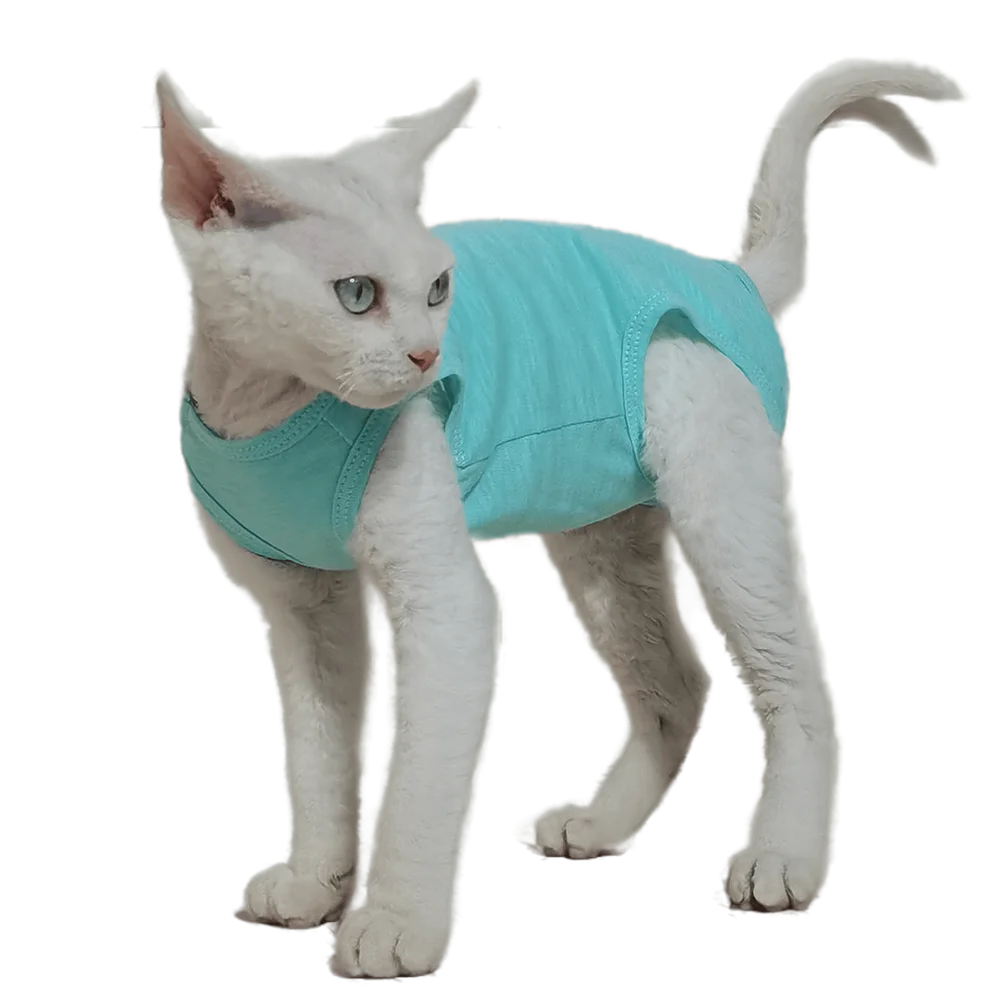 Thin Breathable Sphynx Cat T-Shirt, Cat Costume, Hairless Cat Outfit, Cotton Clothing, Devon Rex Clothes, Summer
Thin Breathable Sphynx Cat T-Shirt, Cat Costume, Hairless Cat Outfit, Cotton Clothing, Devon Rex Clothes, Summer