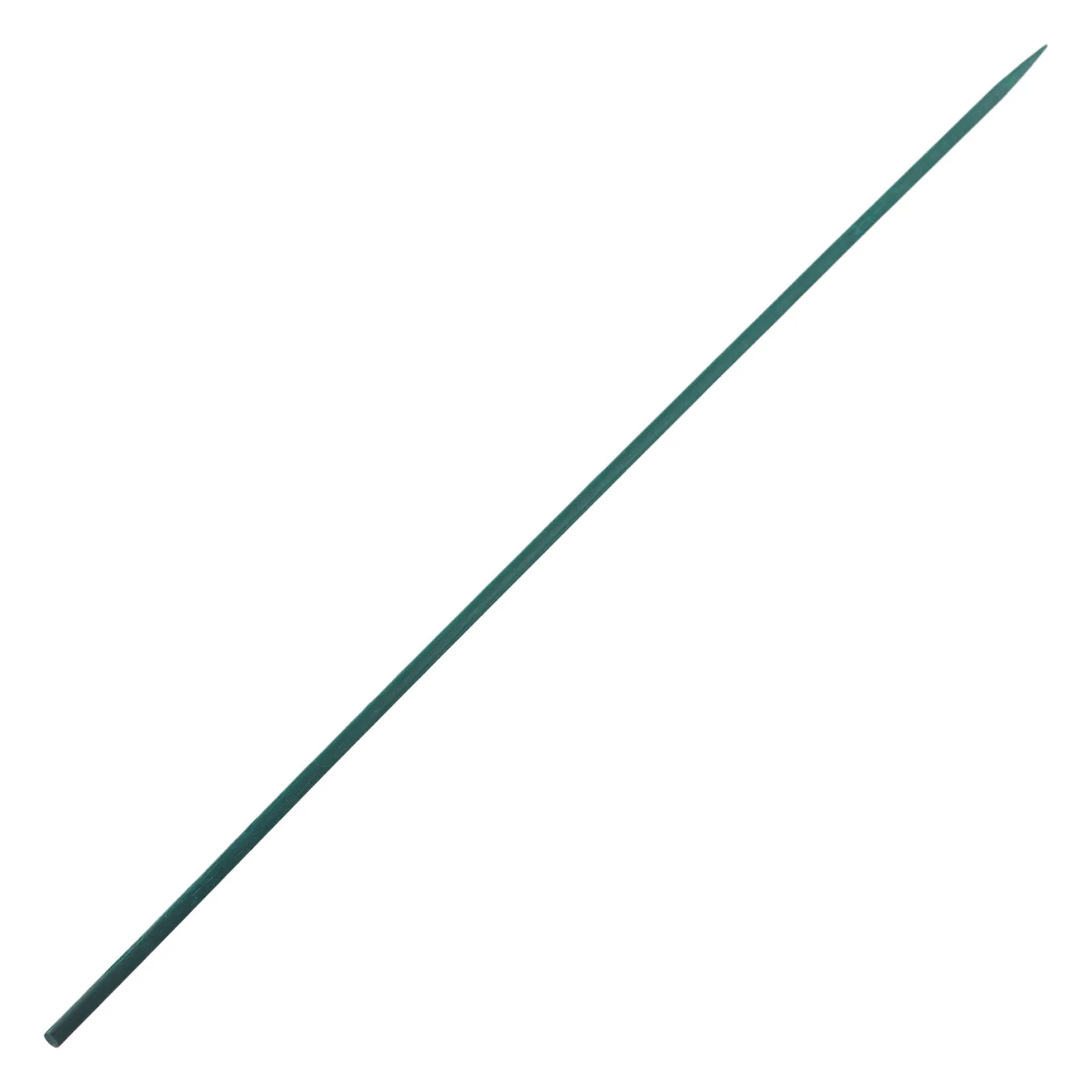 Accessories Plant Stake Canes Support 40cm Bamboo For Flowers Green Plant Professional Replacement Sticks Practical
Accessories Plant Stake Canes Support 40cm Bamboo For Flowers Green Plant Professional Replacement Sticks Practical