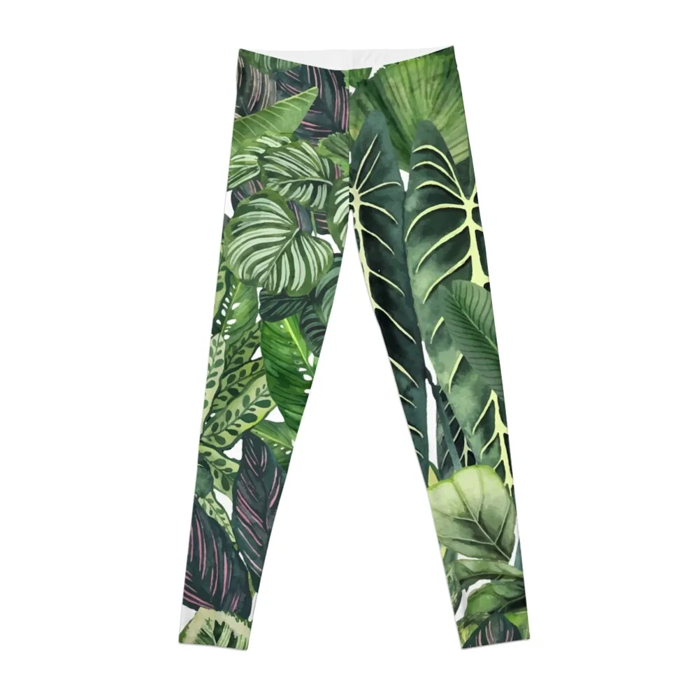 Urban Jungle Illustration 1 Leggings gym's sportswear Female legging pants active wear Womens Leggings
Urban Jungle Illustration 1 Leggings gym's sportswear Female legging pants active wear Womens Leggings