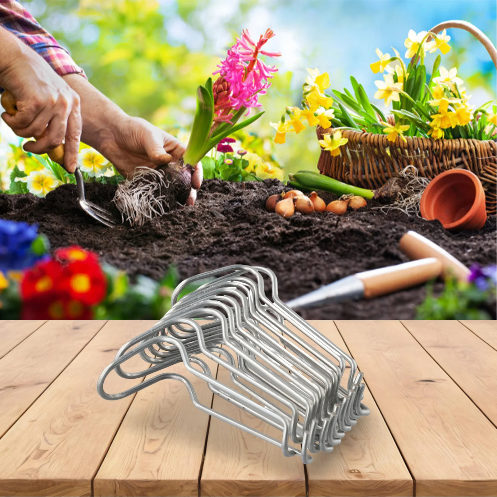 Spring Steel Wire Buckle Steel Supplies 10PCS For flower support Garden Greenhouse Pipe Top Spring Clip High Quality New
Spring Steel Wire Buckle Steel Supplies 10PCS For flower support Garden Greenhouse Pipe Top Spring Clip High Quality New