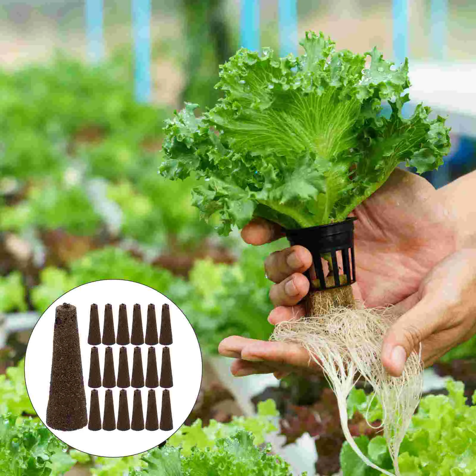 50pcs Grow Sponges Replacement Root Growth Sponges Starter Sponges Kit Planting Supplies
50pcs Grow Sponges Replacement Root Growth Sponges Starter Sponges Kit Planting Supplies