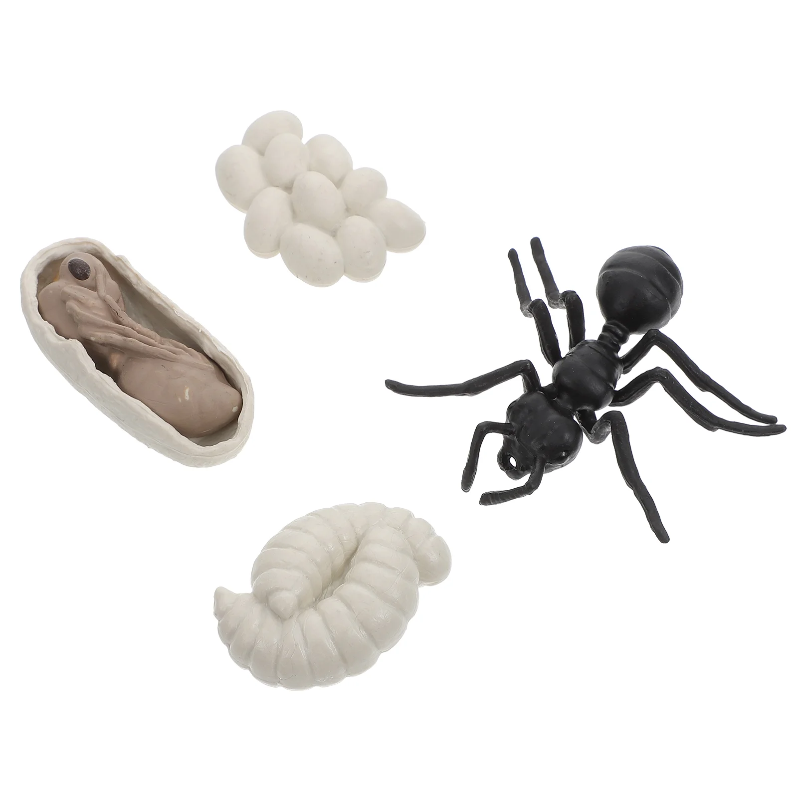 Worker Ant Growth Cycle Insect Models Models Ants Life Figurines Simulation Animal Evolution Plastic
Worker Ant Growth Cycle Insect Models Models Ants Life Figurines Simulation Animal Evolution Plastic