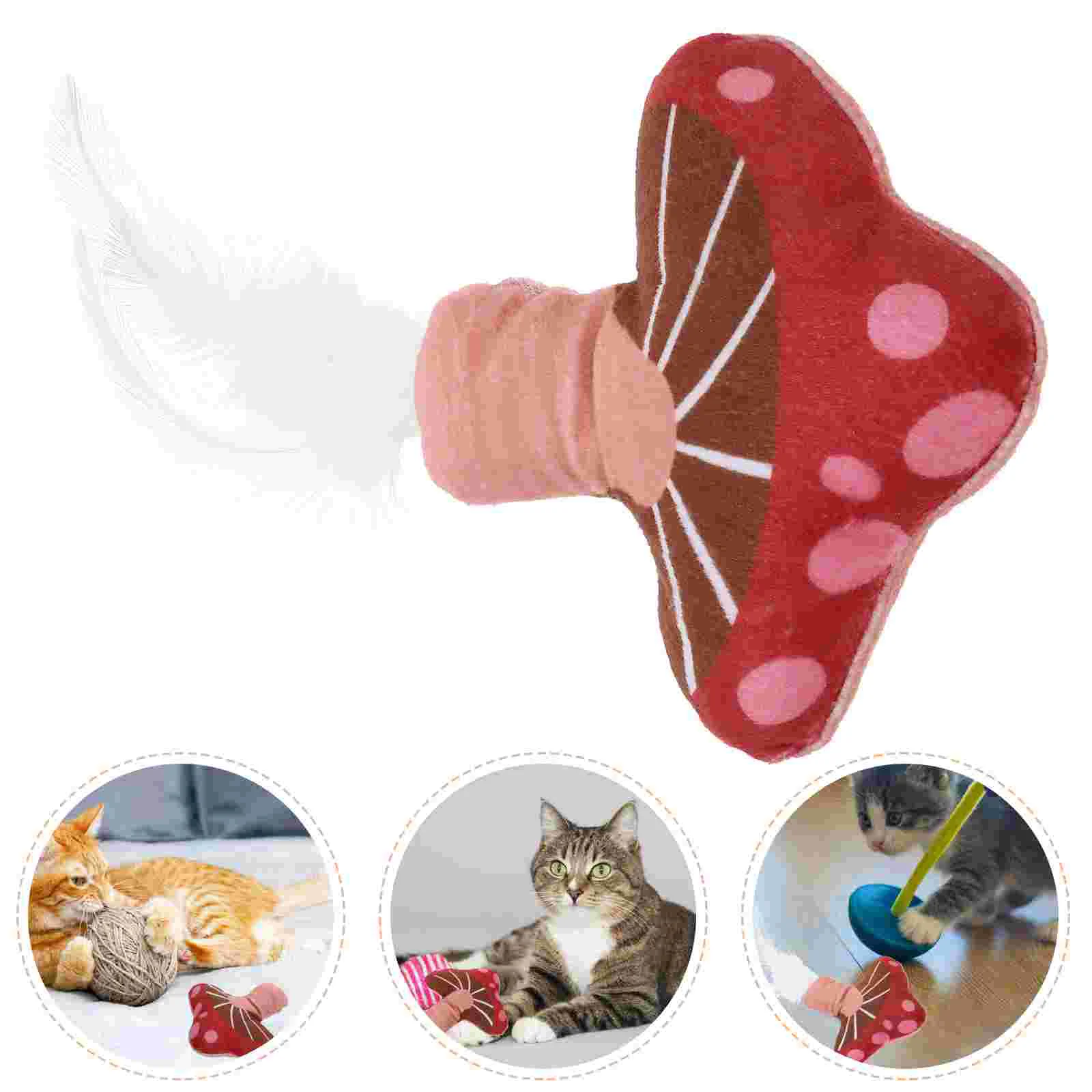 Catnip Toys Hawaiian Style Cactus Chew Kitten Interactive Gifts Insects Plushys Soft Cute
Catnip Toys Hawaiian Style Cactus Chew Kitten Interactive Gifts Insects Plushys Soft Cute