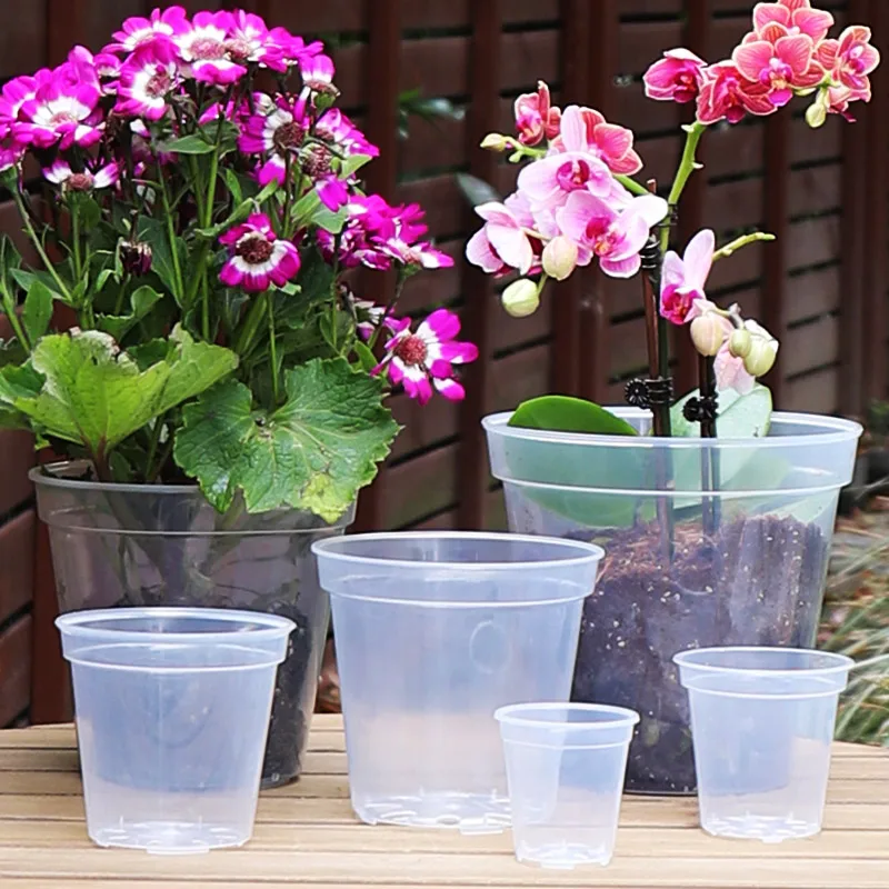 3pcs Clear Orchid Pot With Saucers For Repotting Plastic Orchid Planters Indoor, 2.4/3/4/5/6/7/8/9 Inches
3pcs Clear Orchid Pot With Saucers For Repotting Plastic Orchid Planters Indoor, 2.4/3/4/5/6/7/8/9 Inches