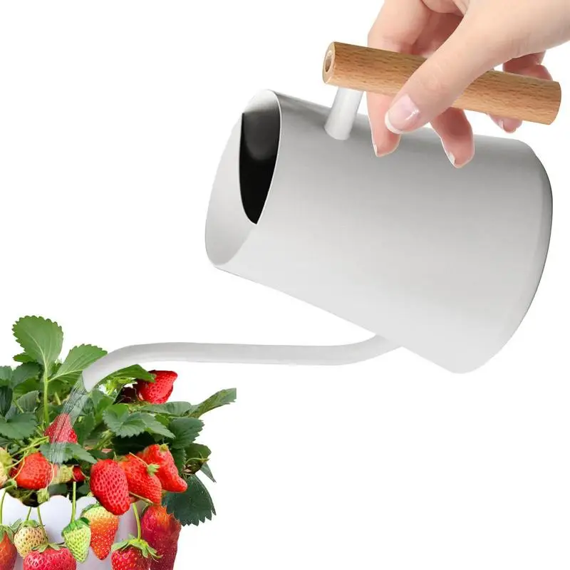Plant Watering Can 42.27oz Vintage Stainless Steel Watering Bell Thumb Pot Wood Handle Long Spout Watering Cans Garden Flower
Plant Watering Can 42.27oz Vintage Stainless Steel Watering Bell Thumb Pot Wood Handle Long Spout Watering Cans Garden Flower
