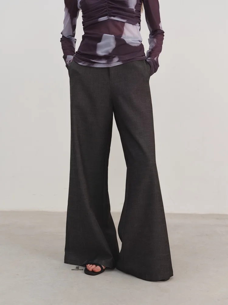 High Waisted Slimming Design Micro Flared Wide Leg Suit Pants for Women's Spring Gray Commuting Temperament Casual Trousers
High Waisted Slimming Design Micro Flared Wide Leg Suit Pants for Women's Spring Gray Commuting Temperament Casual Trousers