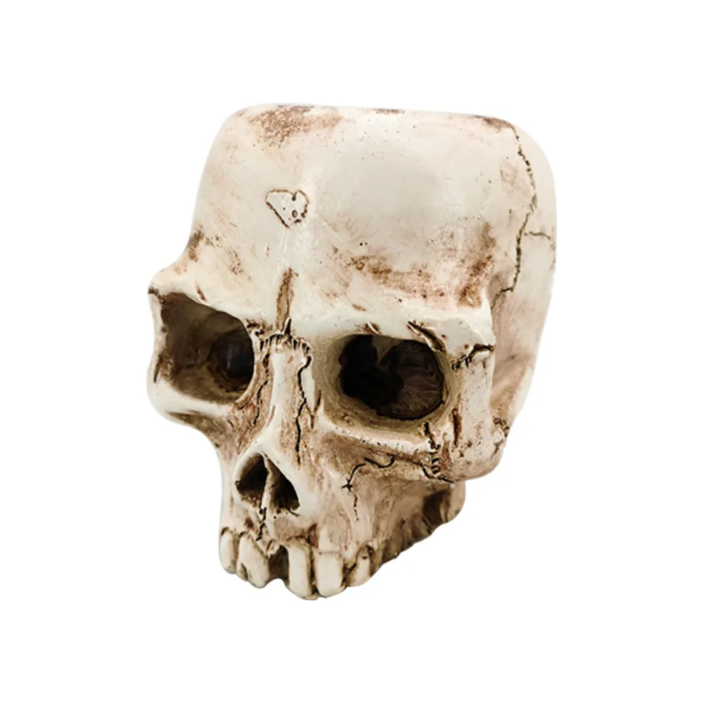2P Resin human tooth skull model desktop planter implantation machine office skeleton process 2024
2P Resin human tooth skull model desktop planter implantation machine office skeleton process 2024