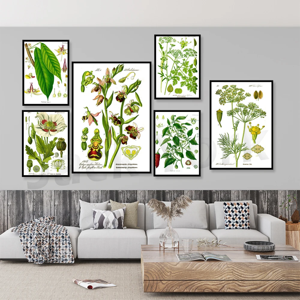 Printable Wall Art, Floral Wall Art, Botanical illustration poster, Vintage floral Botanical Wall Decor Ideas
Printable Wall Art, Floral Wall Art, Botanical illustration poster, Vintage floral Botanical Wall Decor Ideas