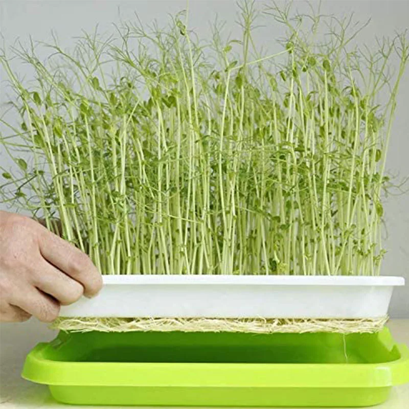 1 PCS Seedling Tray Home Garden Nursery Pots Microgreen Soilless Hydroponics Seed Sprouter Grow Tray
1 PCS Seedling Tray Home Garden Nursery Pots Microgreen Soilless Hydroponics Seed Sprouter Grow Tray