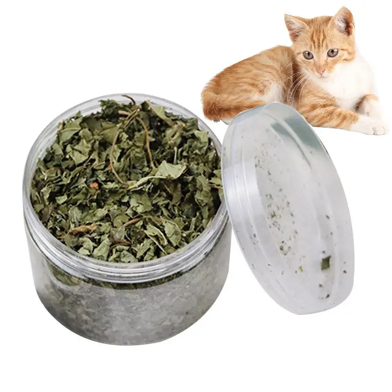 Cat Toy Organic 100 Natural Premium Catnip Cattle Grass 40g Menthol Flavor Funny Cat Toy Interactive Cat Non-toxic Dropship
Cat Toy Organic 100 Natural Premium Catnip Cattle Grass 40g Menthol Flavor Funny Cat Toy Interactive Cat Non-toxic Dropship