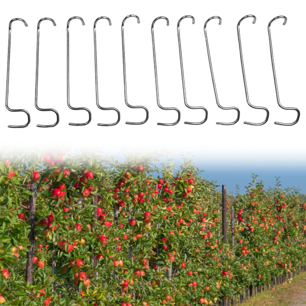 20pcs Stainless Steel Fruit Tree Branch Limb Spreader Reuseable Wire For Garden Branch Spreader Plant Ties & Supports
20pcs Stainless Steel Fruit Tree Branch Limb Spreader Reuseable Wire For Garden Branch Spreader Plant Ties & Supports