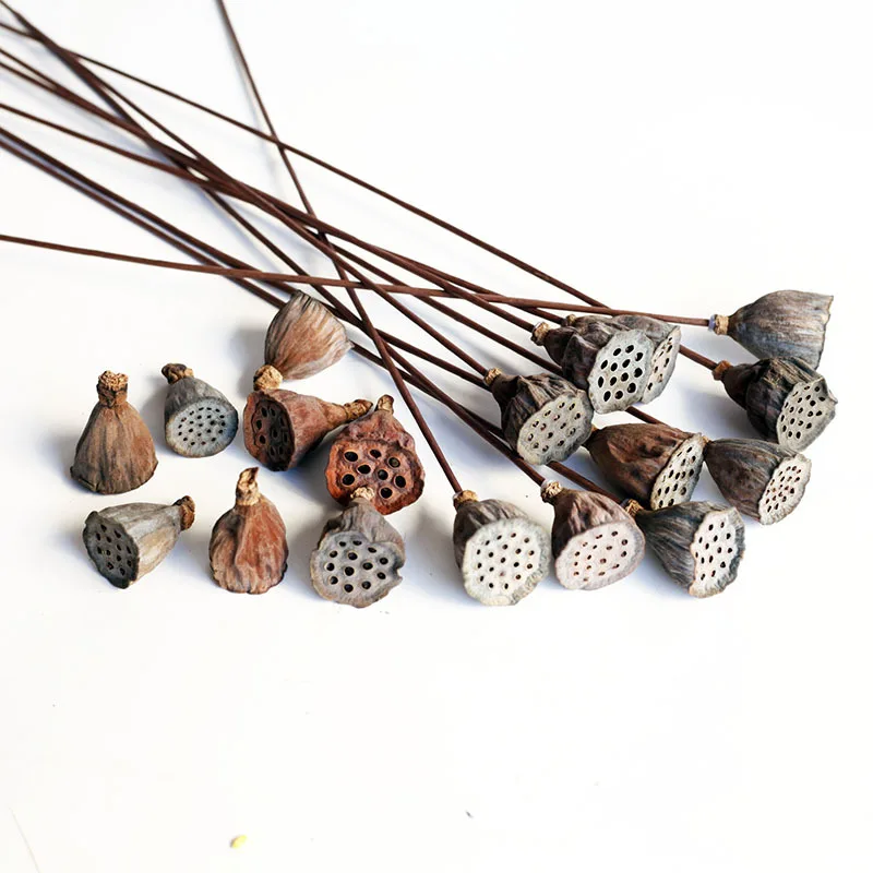 1Pcs Artificial Crafts Real Plants Lotus Dried Natural Flowers Beauty for Farmhouse Desk Party Office Home Living Room Decor
1Pcs Artificial Crafts Real Plants Lotus Dried Natural Flowers Beauty for Farmhouse Desk Party Office Home Living Room Decor