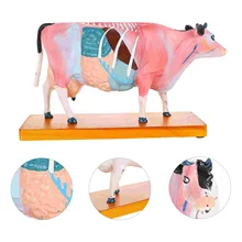 Cow Acupuncture Model Teaching Anatomy Cow Model Veterinary Display Cow Model
Cow Acupuncture Model Teaching Anatomy Cow Model Veterinary Display Cow Model