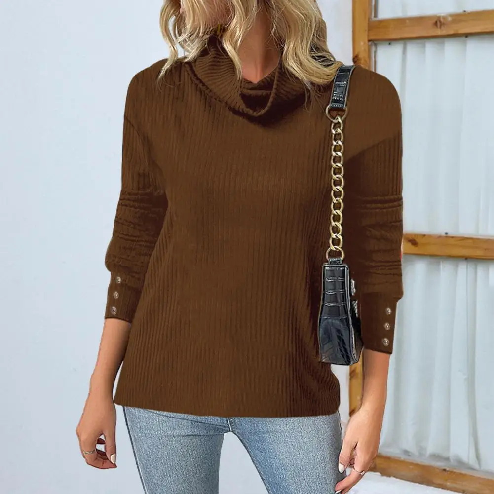 Plus Size 5XL Women Pullover Turtleneck Long Sleeve Buttons Cuffs Ribbed Women Sweater Winter 10 Color Loose Warm Sweater Jumper
Plus Size 5XL Women Pullover Turtleneck Long Sleeve Buttons Cuffs Ribbed Women Sweater Winter 10 Color Loose Warm Sweater Jumper