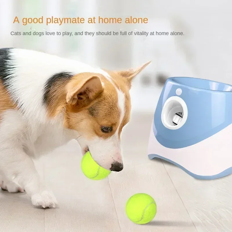 Charging Automatic Pet Throw Jump Ball Dog Catapult Ball Launch Dog Toy Bulldog Toy Tennis Machine
Charging Automatic Pet Throw Jump Ball Dog Catapult Ball Launch Dog Toy Bulldog Toy Tennis Machine