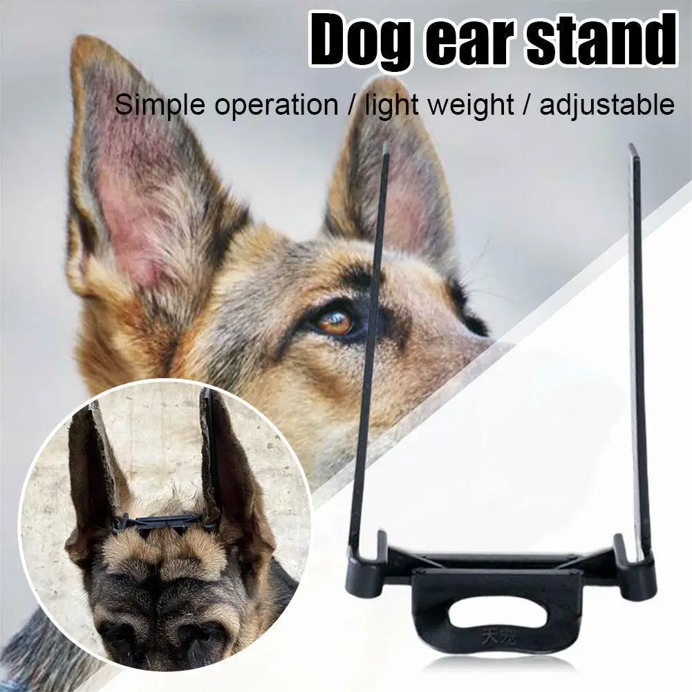 1Pcs Dog Ear Stand Corrector Ear Care Tool Ear Stand Up Tool For Dog Samoyed Doberman Great Dane Pet Supplies U6I7
1Pcs Dog Ear Stand Corrector Ear Care Tool Ear Stand Up Tool For Dog Samoyed Doberman Great Dane Pet Supplies U6I7