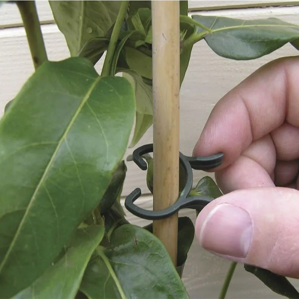 Gardening Bow Plant Clips Garden Garden Ring Greenhouse PE Rubber Plant Support Plastic Reusable Tie Clips Kit
Gardening Bow Plant Clips Garden Garden Ring Greenhouse PE Rubber Plant Support Plastic Reusable Tie Clips Kit