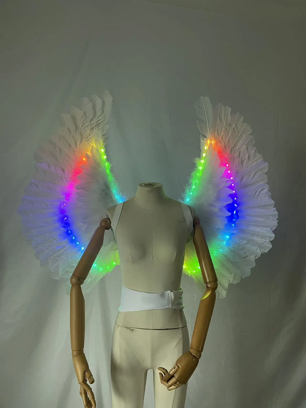 

LED Feather Wing Performance Costume Wings Catwalk Stage Show Nightclub Disco Photography Prop