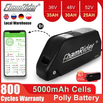 ChamRider battery