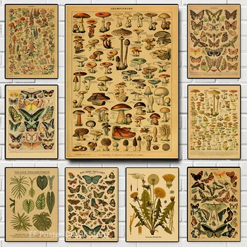 식물 예술 프린트 버섯 레트로 포스터, 동물, 꽃, 식물, 잎, 나비, 공부 그림, 빈티지 공부방, 집 벽 장식
