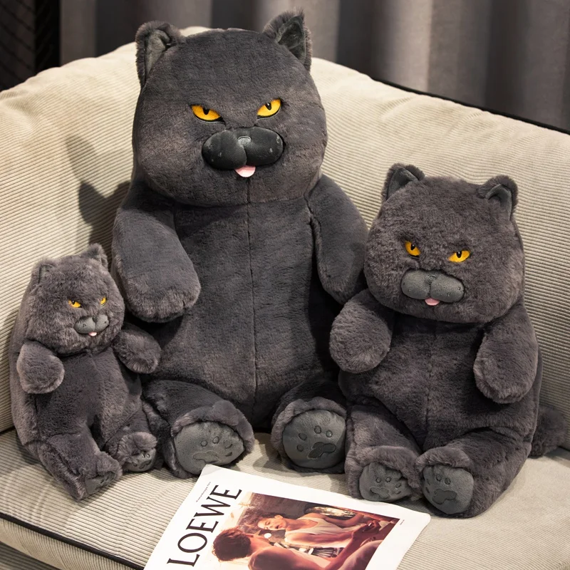 30/45/60cm Kawaii British Shorthair Cat Plush Toy Stuffed Animals Blue Gray Cats Plushies Doll Soft Kids Babys Toys for Children
30/45/60cm Kawaii British Shorthair Cat Plush Toy Stuffed Animals Blue Gray Cats Plushies Doll Soft Kids Babys Toys for Children