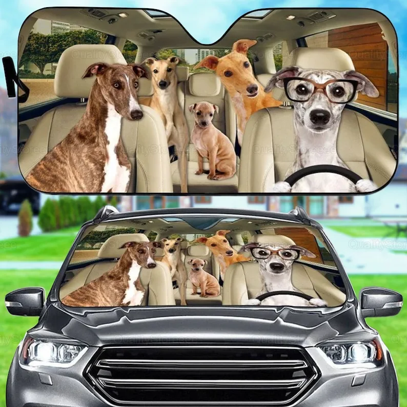 Забавный автомобильный солнцезащитный козырек Greyhound, семейный козырек для собак, автомобильные аксессуары для собак, украшение автомобиля, подарок для папы, мамы, подарок владельца собаки LNG18
Забавный автомобильный солнцезащитный козырек Greyhound, семейный козырек для собак, автомобильные аксессуары для собак, украшение автомобиля, подарок для папы, мамы, подарок владельца собаки LNG18