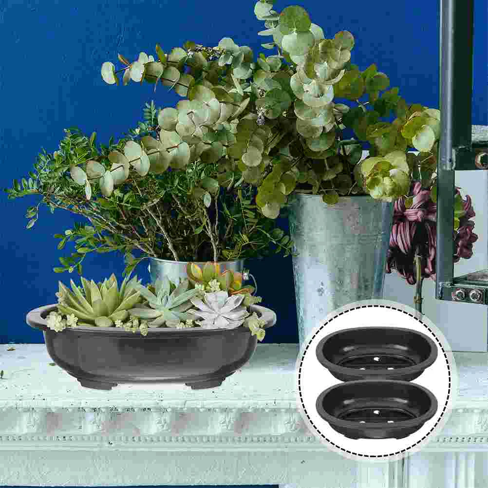 Bonsai Tree Flower Pot Succulents Flowers Planting Pots Flower Pot Bonsai Training Pot Garden Bonsai Holder for Home Indoor 
Bonsai Tree Flower Pot Succulents Flowers Planting Pots Flower Pot Bonsai Training Pot Garden Bonsai Holder for Home Indoor