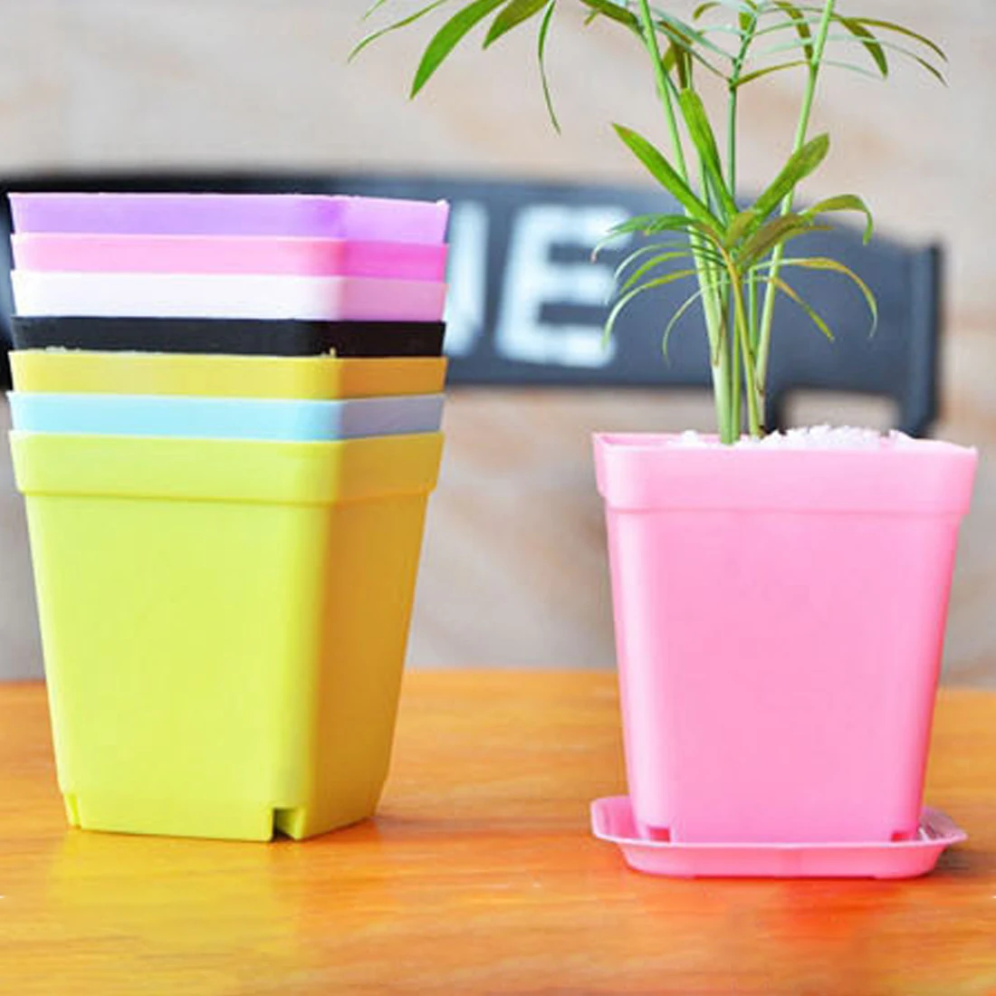Candy Color Mini Basin Square Flower Pot Succulent Plant Trays DIY Transplant Flowerpot Planters Grow Pot Home Office Decor
Candy Color Mini Basin Square Flower Pot Succulent Plant Trays DIY Transplant Flowerpot Planters Grow Pot Home Office Decor