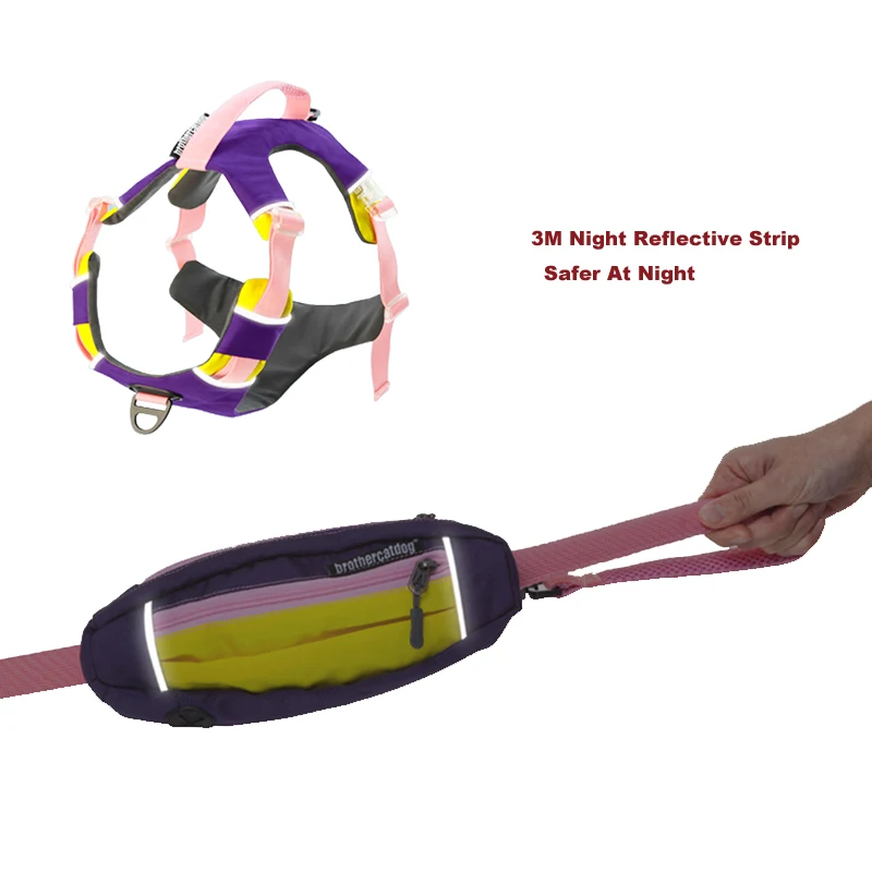 S8f483ed9b82e47c2a42f0c2dba509e84k