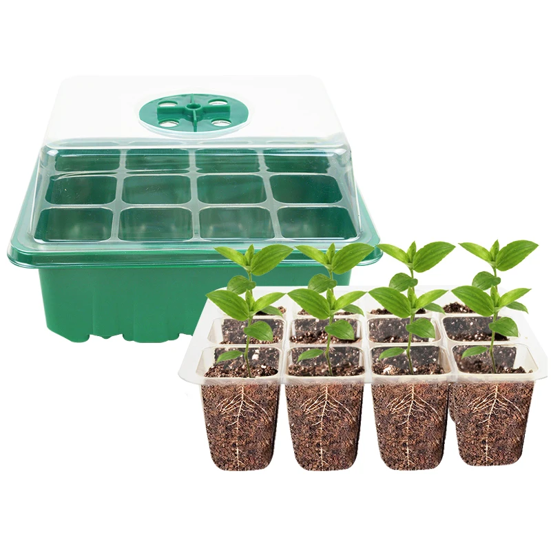 12Holes Seeds Germination Box Plastic Transparent Plant Flower Seedling Cultivation Flowerpot Home Garden Accessories
12Holes Seeds Germination Box Plastic Transparent Plant Flower Seedling Cultivation Flowerpot Home Garden Accessories