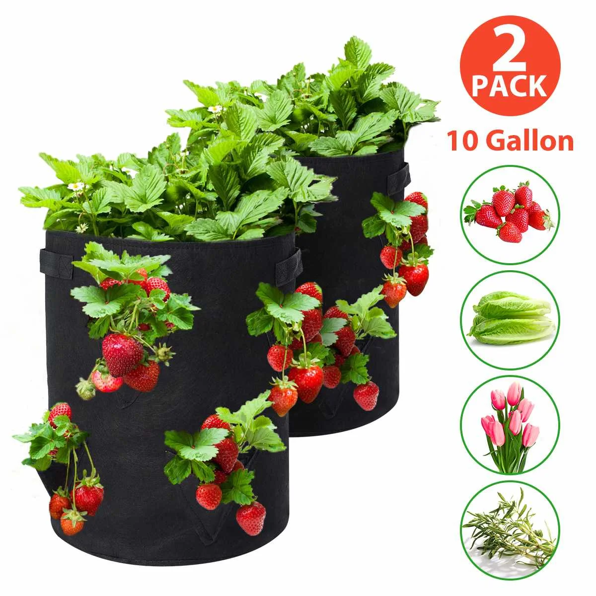 2 Packs Fabric Multi-Mouth Grow Bag 10 Gallons Strawberry Tomato Planting Bags Reusable Gardens Balconies Flower Herb Planter
2 Packs Fabric Multi-Mouth Grow Bag 10 Gallons Strawberry Tomato Planting Bags Reusable Gardens Balconies Flower Herb Planter