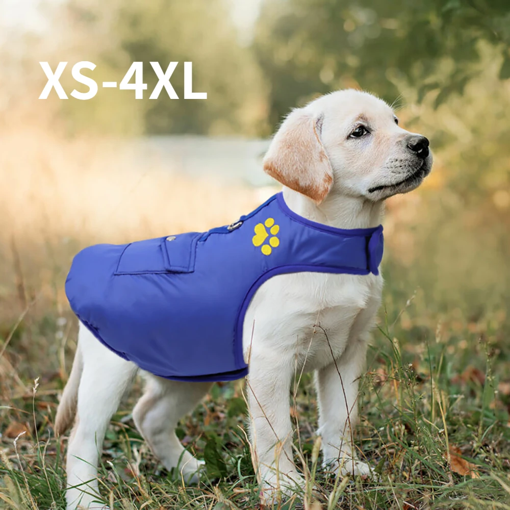 Warm Small Dog Clothes Winter Pet Down Jacket Chic Puppy Coats Clothing for Small Medium Dogs Chihuahua Cats Pet Costume Vest
Warm Small Dog Clothes Winter Pet Down Jacket Chic Puppy Coats Clothing for Small Medium Dogs Chihuahua Cats Pet Costume Vest