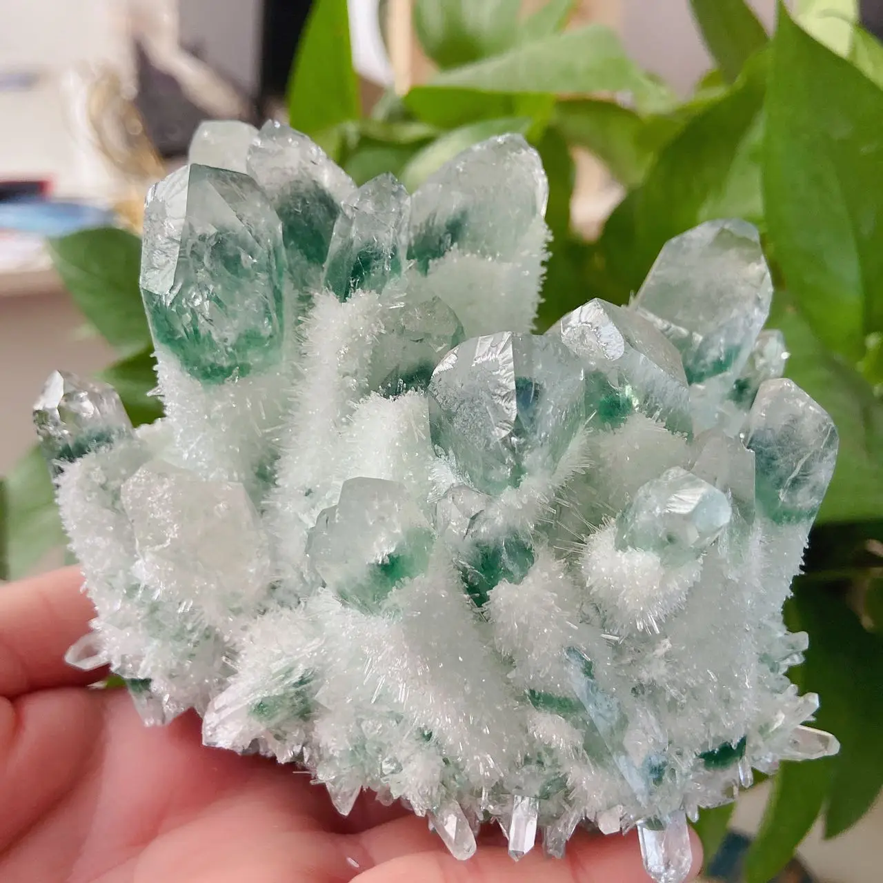 

550-650g Natural Green Ghost Phantom Quartz Crystal Cluster Healing Specimen