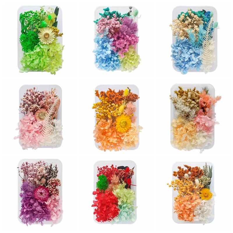 Dried Pressed Flower for Making Mobile Phone Case Candle Handmade Crafts Epoxy Resin Natural Flower Style Material Model Number 
Dried Pressed Flower for Making Mobile Phone Case Candle Handmade Crafts Epoxy Resin Natural Flower Style Material Model Number