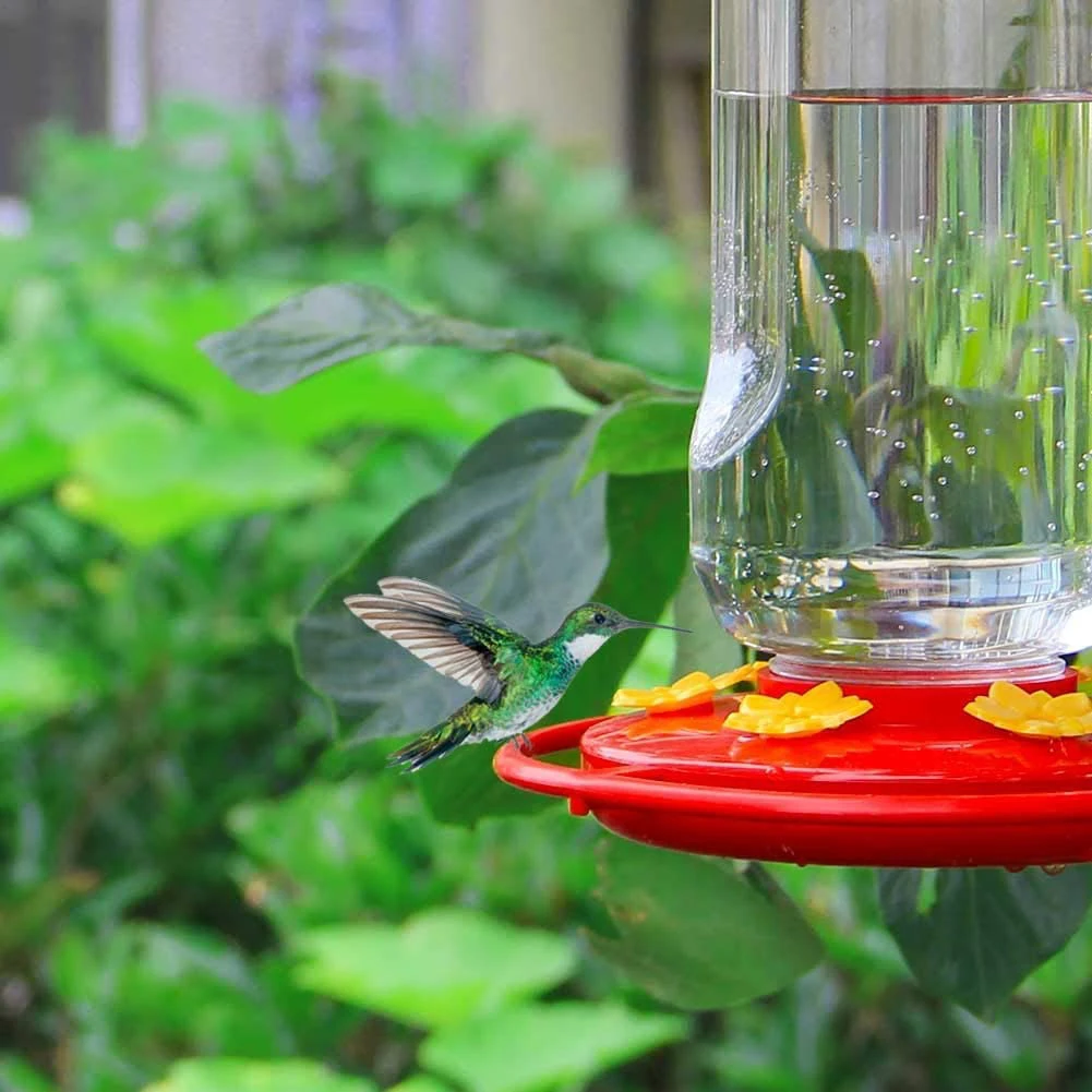 16pcs Hummingbird Feeders Replacement Flower Hummingbird Feeders Outdoors Garden Hanging Feeder Decorative Flowers Accessories
16pcs Hummingbird Feeders Replacement Flower Hummingbird Feeders Outdoors Garden Hanging Feeder Decorative Flowers Accessories