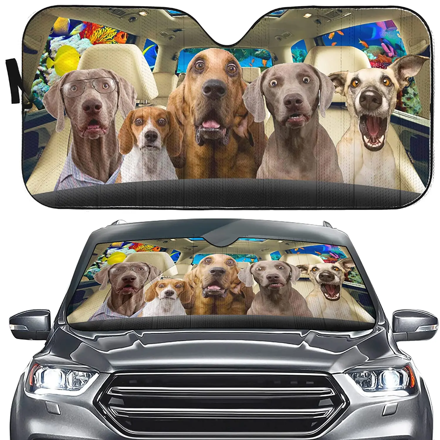 Surprise Dog Car Sun Shade Amazing Pet Auto Windshield Shade Visor Funny Dog Driver Front Window Sunshade Anti-UV Dog Sea Ocean
Surprise Dog Car Sun Shade Amazing Pet Auto Windshield Shade Visor Funny Dog Driver Front Window Sunshade Anti-UV Dog Sea Ocean