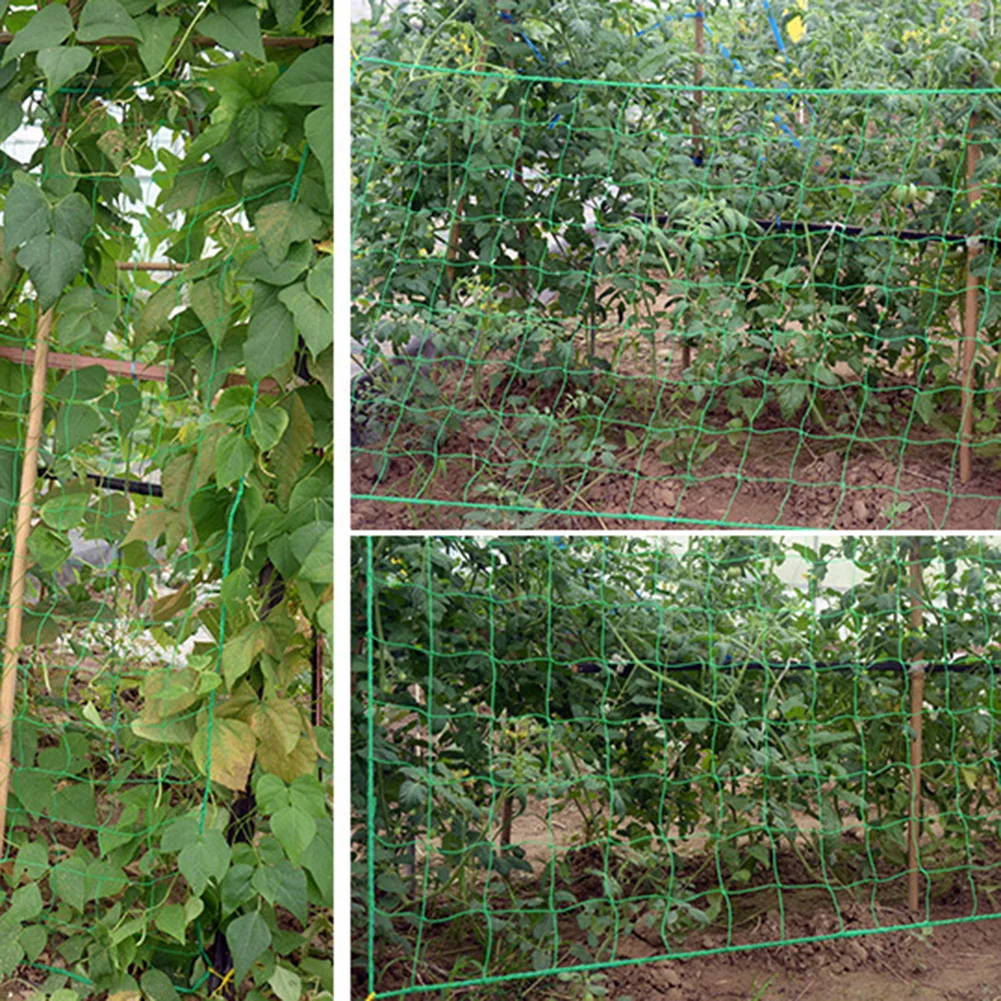 1pc Garden Nylon Trellis Netting Support Climbing Bean Plant Net Grow Fence Decor Plant Climbing Frame Net Garden Net Accessorie
1pc Garden Nylon Trellis Netting Support Climbing Bean Plant Net Grow Fence Decor Plant Climbing Frame Net Garden Net Accessorie